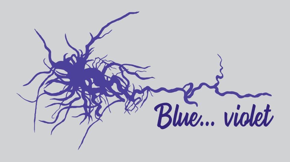Blue...Violet Nafplio Exterior foto